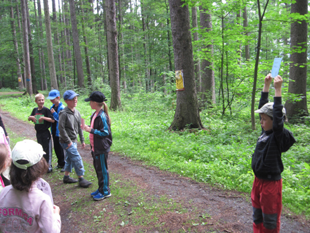 2AZalesnimistrasidylky (16)